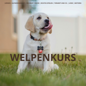 Welpenkurs (Kopie)