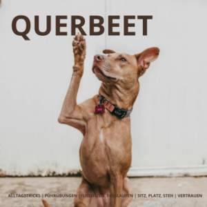 Querbeet